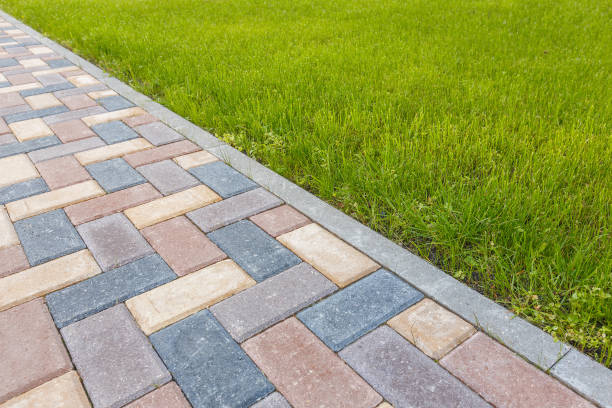 Best Best Driveway Pavers  in Newaygo, MI
