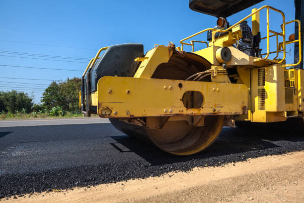 Best Professional Driveway Pavers  in Newaygo, MI
